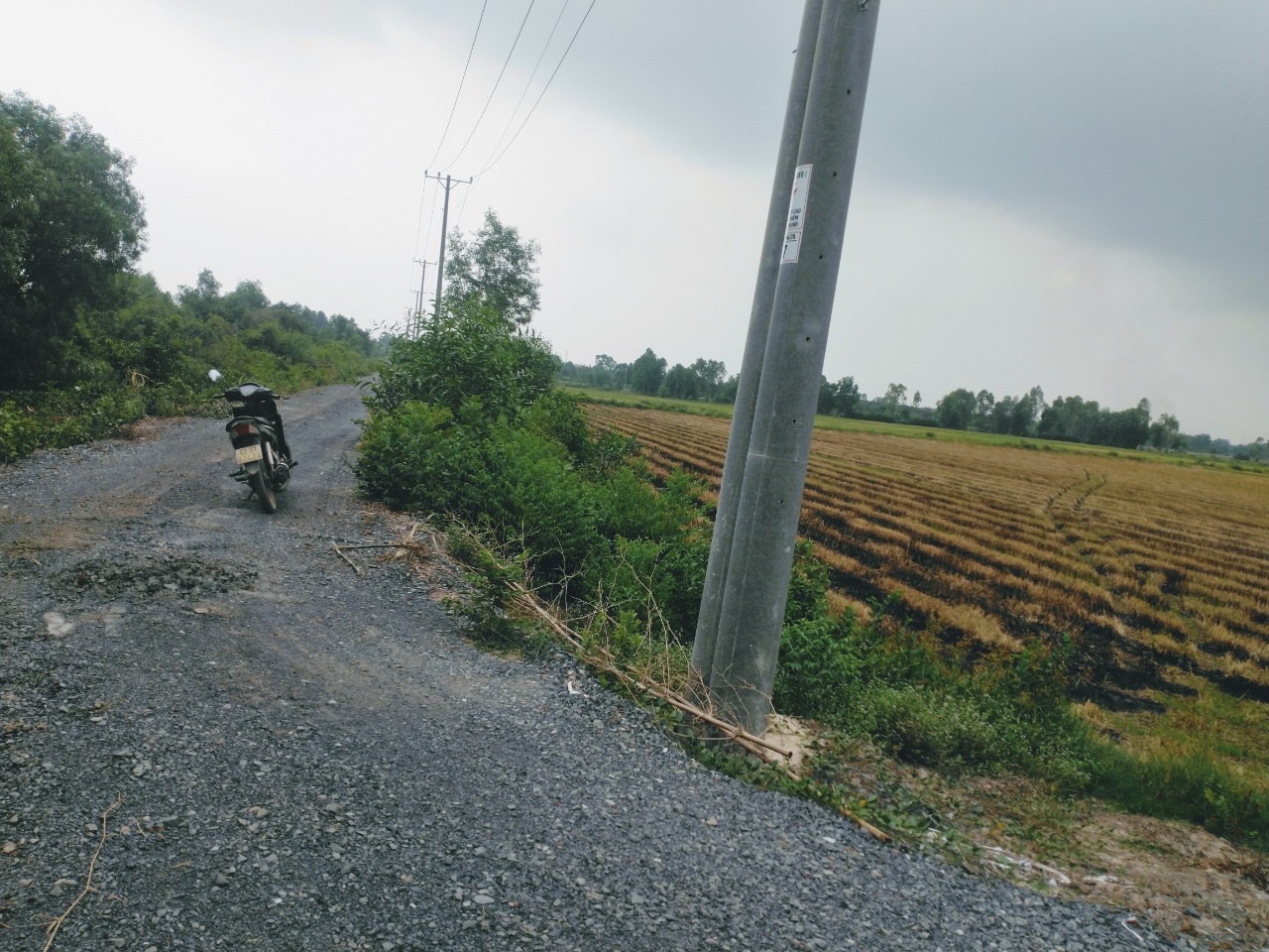 Cơ Hội Vàng! 103.000m2 Đất Nông Nghiệp Đức Hòa Long An - Đường DT823 - 100 Tỷ - Ảnh 4